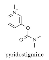 Pyridostigmine cholinesterase drug molecule. Used in treatment of myasthenia gravis and as antidote to some nerve agents. Skeletal formula.