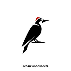 Illustration vector graphic template of acorn woodpecker silhouette logo