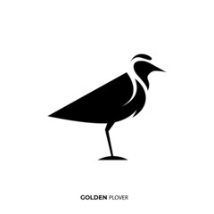 Illustration vector graphic template of golden plover silhouette logo