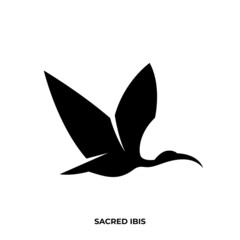 Naklejka premium Illustration vector graphic template of sacred ibis silhouette logo