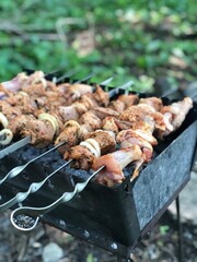 Meat on skewers on the grill - a picnic in nature