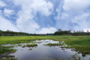 Landgoed Tongeren, Epe, Gelderland province, The Netherlands