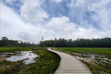 Landgoed Tongeren, Epe, Gelderland province, The Netherlands