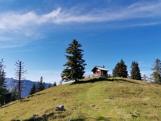 Eine Hütte und ein Baum auf einem Berg