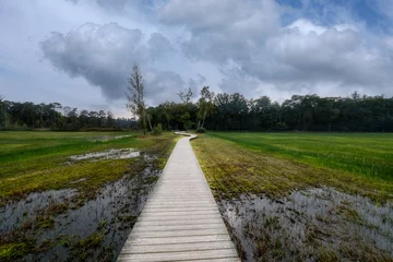 Foto auf Acrylglas Landgoed Tongeren, Epe, Gelderland province, The Netherlands © Holland-PhotostockNL
