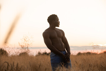 Sexual man posing shirtless in grain field