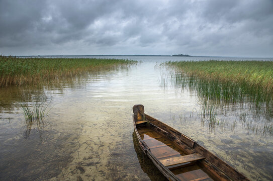 Old wooden boat on the shore of the lake among the reeds.