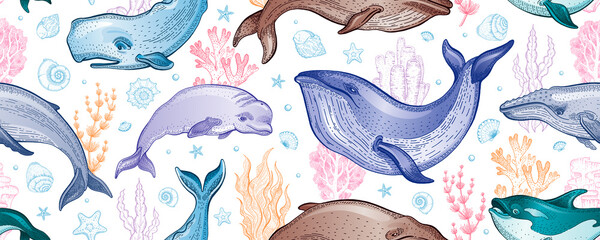 Whale pattern. Seamless vector sea whale illustration. Ocean animal background. Cute wallpaper. Marine watercolor print with underwater mammal fish algae. Water summer design texture. Sea seamless art © Olga Che