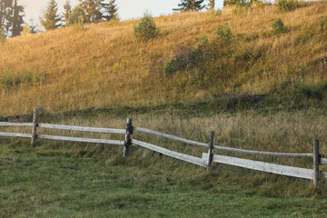 Fototapeta premium Old wooden fence and green grass outdoors