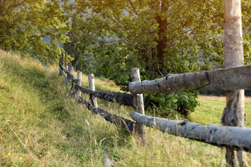 Old wooden fence and green grass outdoors on sunny day