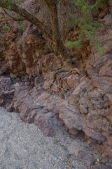 White Rock Canyon Trail, Nevada, Arizona, Lake Mead National Recreation Area