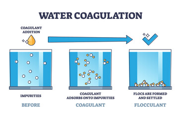 Water coagulation process explanation for treatment outline diagram. Labeled educational wastewater purification and disinfection steps vector illustration. Sewage coagulant and flocculant addition. - obrazy, fototapety, plakaty
