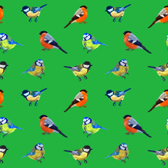 Colorful digital pattern with forest birds, Christmas branches . Green  background.