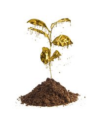 Gold from the ground. The sapling emerges from the ground as gold. Golden flower photo manipulation.