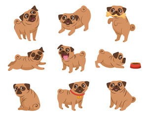 Cartoon dog animal playing on white background. Cute dogs in different action emotion. Happy smiling pet sleeping eating having fun. Funny puppy avatar vector set. Cartoon illustration collection.