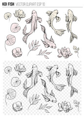 Set of koi fish. Hand drawn skrtch. Vector illustration