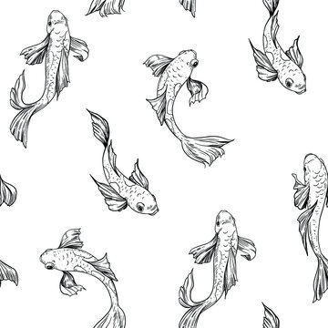 Fish koi seamless pattern. Vector sketch illustration