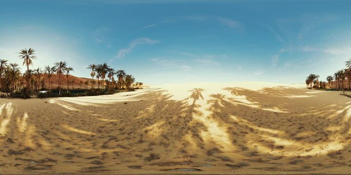 VR360 view of palm oasis in desert