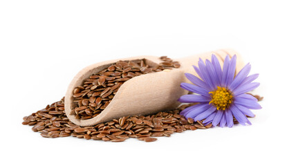 flax seeds in wooden spoon with flower isolated on white background