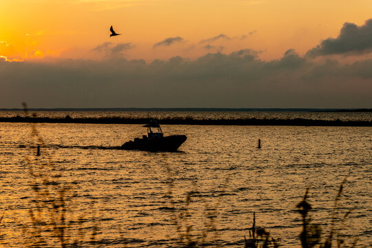 Sunset over the sea with motor boat and seagull silhouettes. Motor boat and a flying bird are arriving to port during sunset in summer in the coast. Golden hour at the beach. - Powered by Adobe