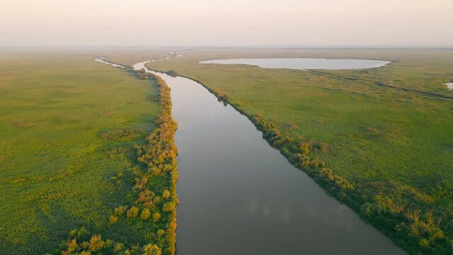 Flight over the reserve of untouched nature by people. Wide river and endless green thickets of bushes. Wetlands of the river source