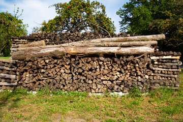 Tree logs lie on a stack of firewood ready to be chopped