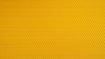 Beeswax for honeycomb. Sweet golden honey. Beekeeping concept.