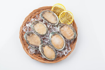 전복,해산물,바다