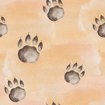 Watercolor seamless pattern from hand painted illustration of orange tiger fur skin with paws of bear, cat, dog or wolf, foot print with claws isolated on white. Abstract ornament for design textile