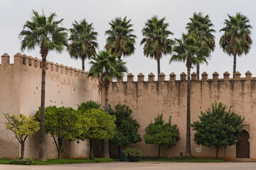 Stadtmauer von Meknes mit Palmen in Marokko