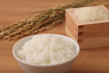 米と稲穂
