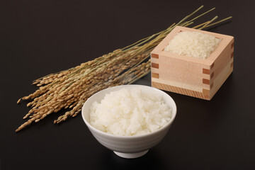 米と稲穂