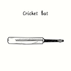 Cricket bat. Ink black and white doodle drawing in woodcut style.