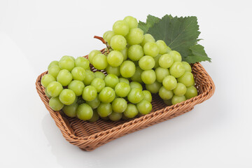 포도,과일,여름