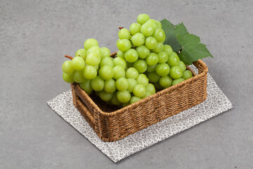 포도,과일,여름