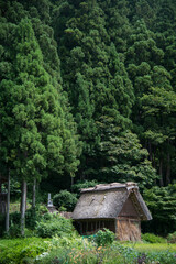 Traditional wooden house close to a forest with large trees. Shirakawa go, Japan
