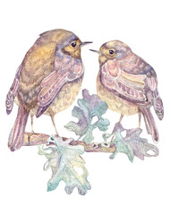 Watercolor handmade two cute birds on a oak branch with leaves