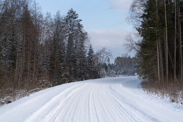 Obraz premium road in winter forest
