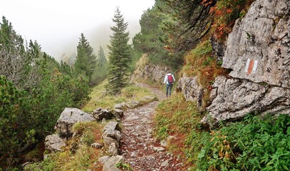 Fototapeta na wymiar Bergwanderung im Herbstnebel