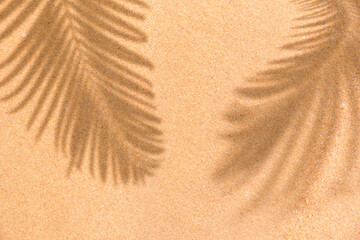 Fototapeta na wymiar Summer beach day scene with tropical palm leaves shadow on sand background. Minimal sunlight tropical flat lay arrangement.