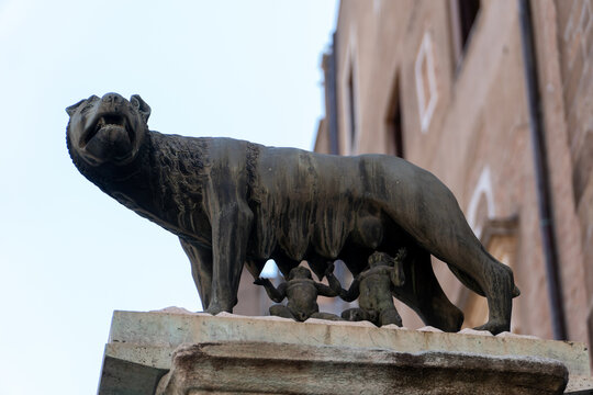 Romulo y Remo Roma 