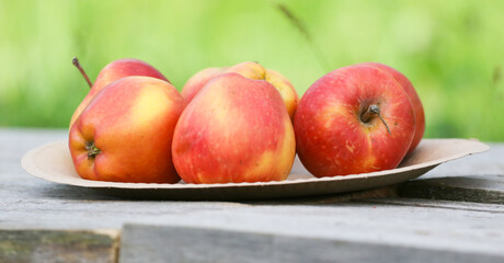 Red apples in a plate on a wooden table