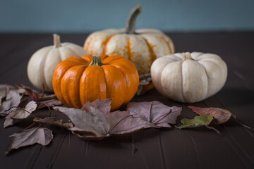 Orange and white pumpkins with leaves around them on a brown surface.