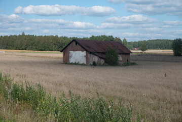 old barn in the field