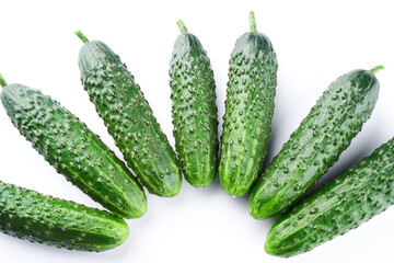 Set of fresh whole cucumbers on white background, food pattern. Garden cucumber wallpaper backdrop design