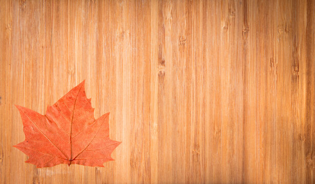 Wood background and texture with autumn leaf.