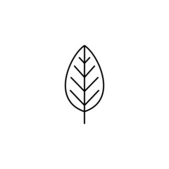 leaf Icon