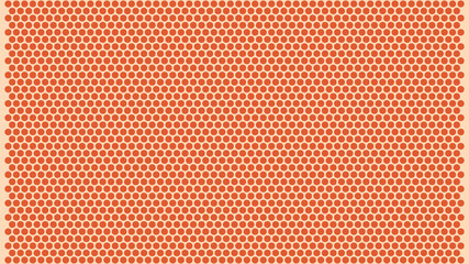 Obraz premium Coral rose wallpaper background