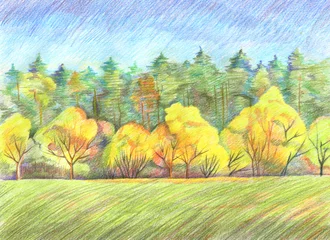 Foto op Aluminium Prachtig herfstlandschap met gele bomen. Hand getekend met kleurpotloden. Natuurlijke achtergrond. © yulanaom