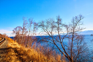 Beautiful natural view of the landscape with the shore with yellow grass, lake, and blue sky with white clouds on a sunny autumn day